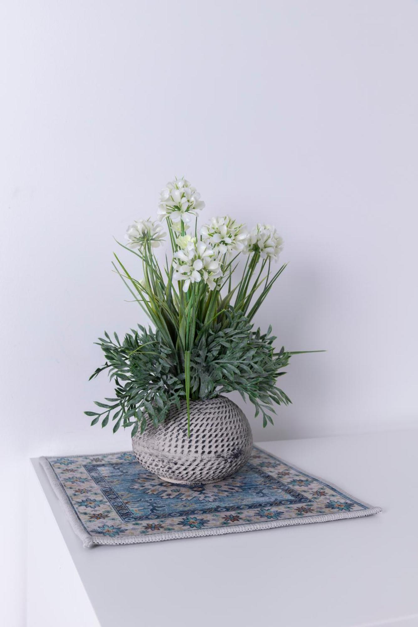 Villa Ninfa Alburnea อันซีโอ ภายนอก รูปภาพ
